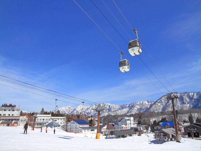 冬の旅行シーズンはスキーが意外な人気